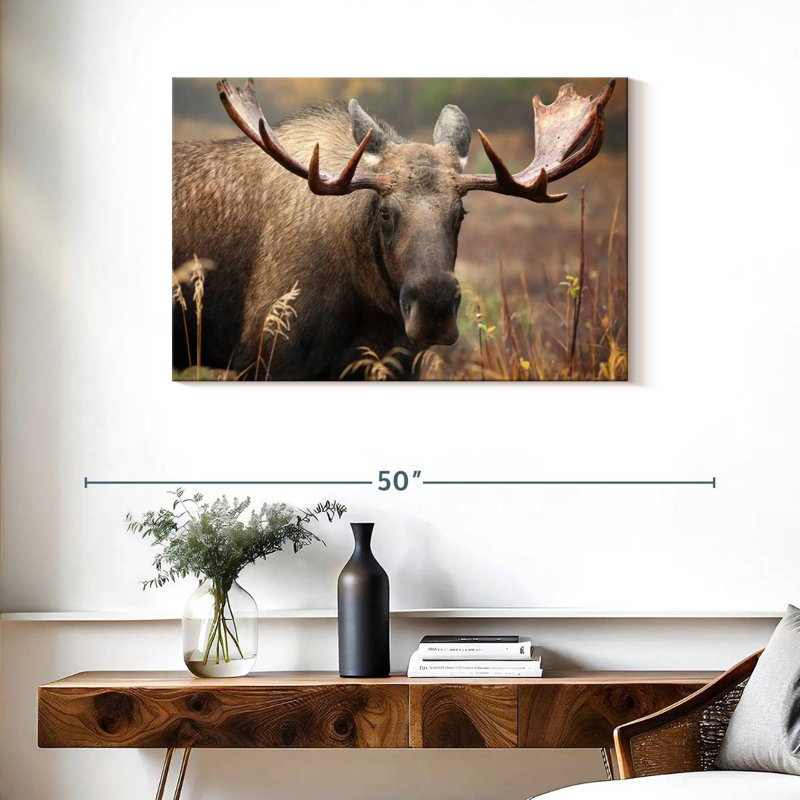 Brampt Male Moose, 24" H x 36" W