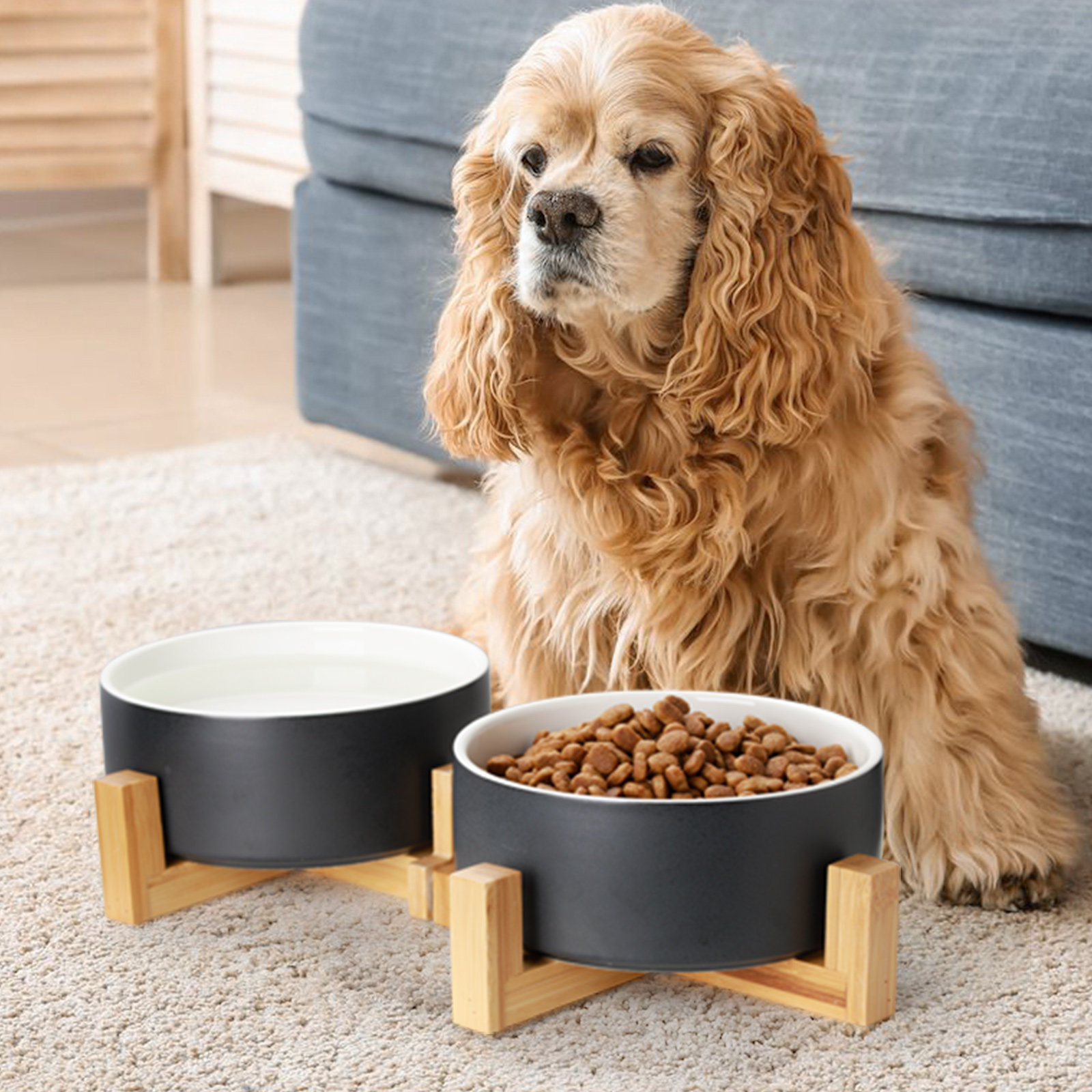 Double Raised Dog Feeder With 800ml / 27oz Bowls Elevated Dog 