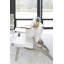 Axiom Glass End Table