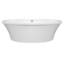 Basics® 66" Freestanding Soaking Bathtub-59366386