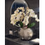 Orchidées olympiennes Phalaenopsis dans un vase-90764542-90764543