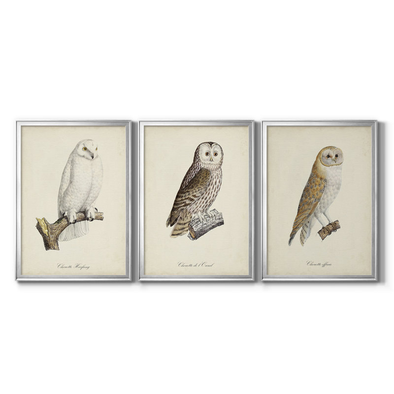 French Owls IV - Toile tendue avec châssis sur mesure - 3 pièces, Argent argent, H 19 po x l 27 po