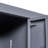 Tyanni Metal Accent