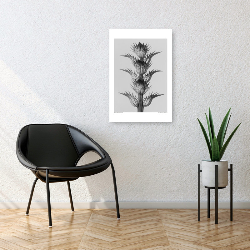 Acanthus Mollis, rétro, art mural rétro, 36" H x 24" W