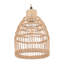 - Light Pendant