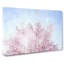 Pink Japanese Cherry Tree In Spring In Abstract - Wrapped Canvas-55339302