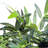 70.75'' Faux Moss Tree in Cement Pot