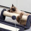  Centre de jeu Kitty Scratch N 'Play
