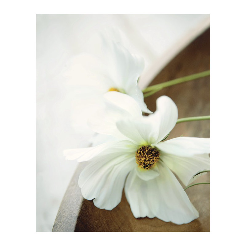 Ian Winstanley - Wrapped Canvas Print