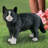 Adamo Cat No Additional Durability Resin Garden Statue