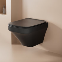 https://assets.wfcdn.com/im/35994526/resize-h210-w210%5Ecompr-r85/2527/252766551/Black+Modern+Elongated+Square+Wall+Mount+Toilet+With+Powerful+Flush%28Water+Tank+Not+Included%29.jpg