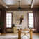 Bhram 48'' Ceiling Fan with LED Lights