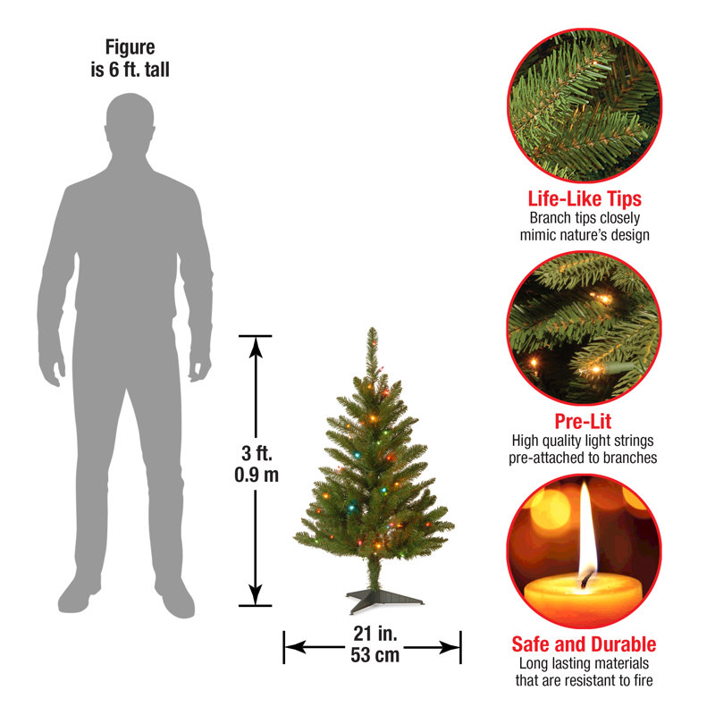 The Holiday Aisle® Kingswood Fir Pencil Tree with Multicolor Lights, 3'
