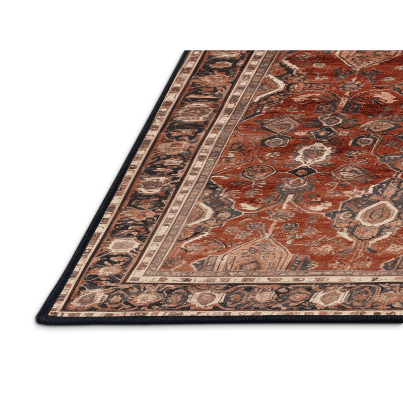Tapis persan noir lavable à la machine, Rectangle 4pi x 6 pi