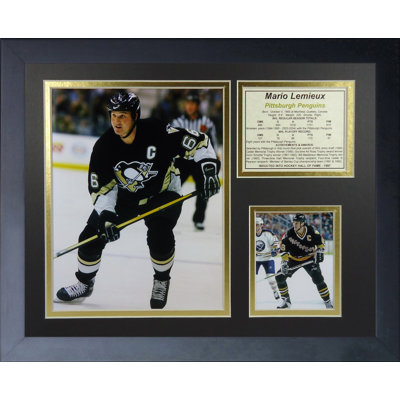 Souvenirs à cadre mario lemieux-home