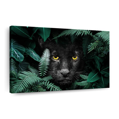 " Tropical Black Panther " by Shawn's Illusions