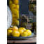 Shander Food & Beverage Figurines & Sculptures