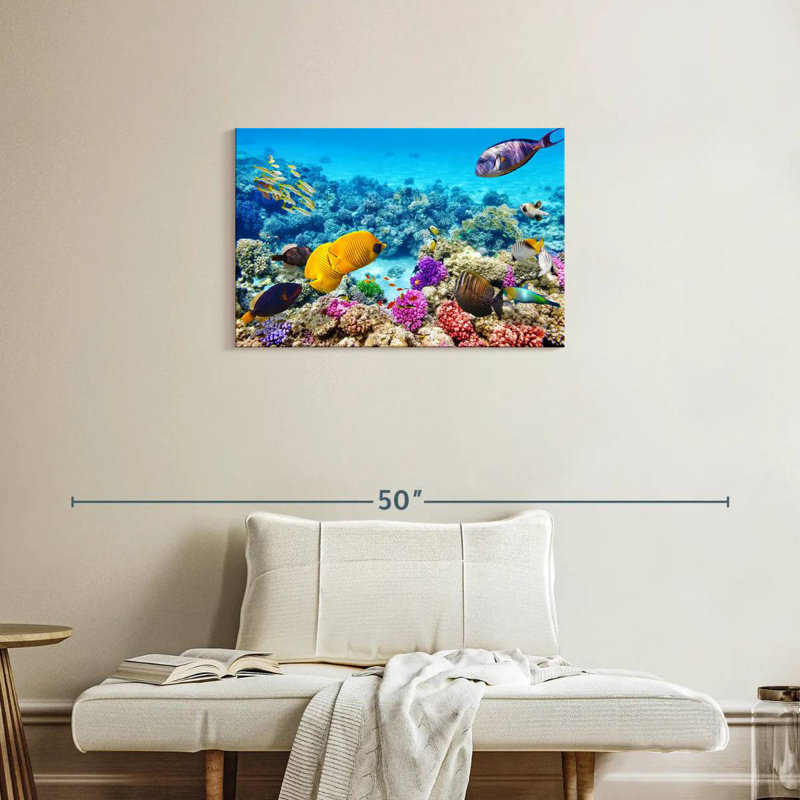 Ocean life Aletra, H 20 po x l 30 po