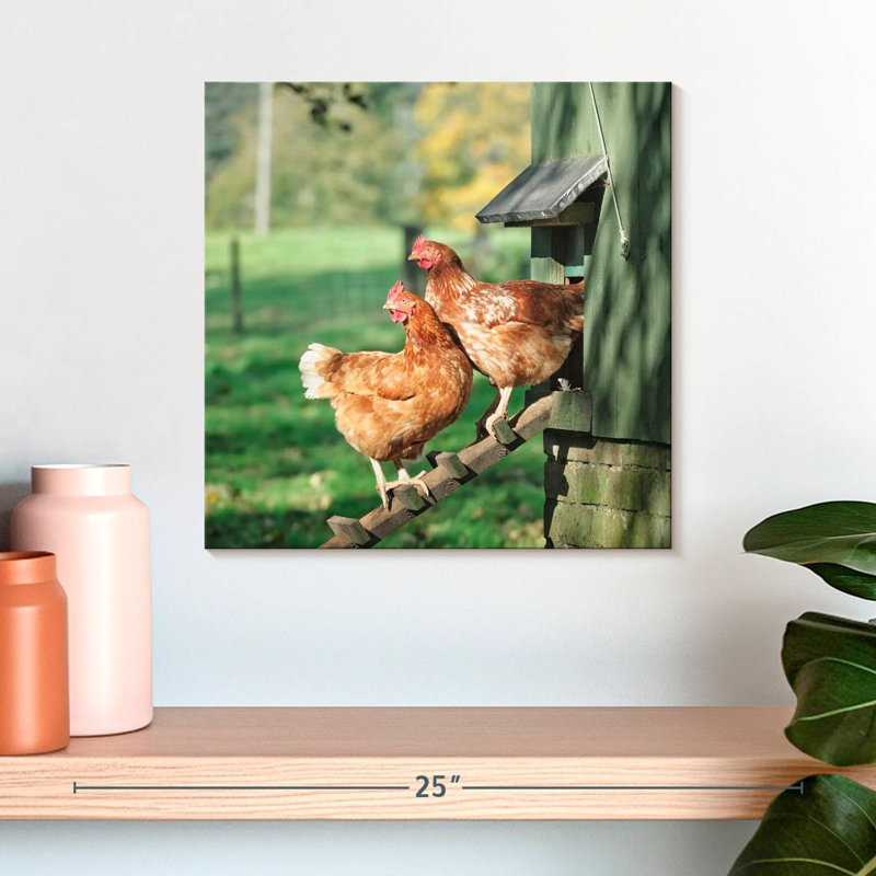 Crowle deux poulets écossais, H 16 po x l 16 po