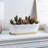 Indoor Ceramic Flower Pot Planter-1292763944
