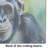 Chimpanzee Glass Cutting Board Large
