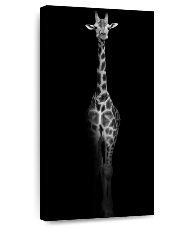 Portrait de girafe monochrome, H 30 po x l 15 po