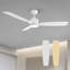 Emidia 52 inch Standard Ceiling Fan with LED Lights Indoor-1491014129-1484851275
