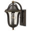 Bolla Outdoor Wall Lantern