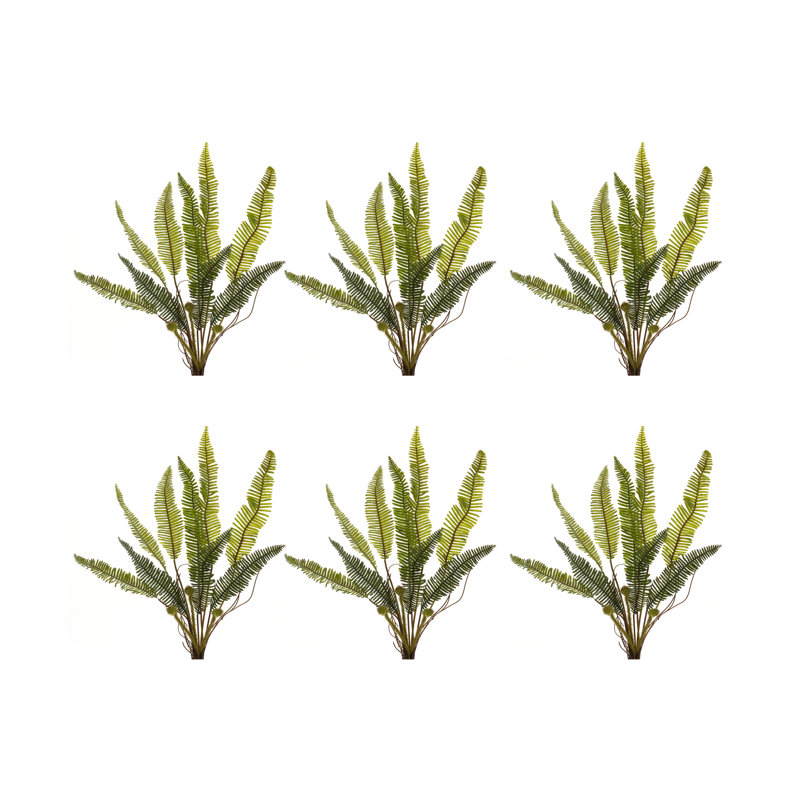 Sprays de fougères