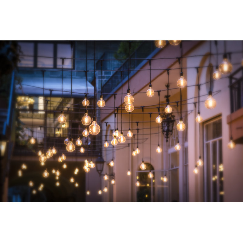 «Makenlei Street Lights I» par - Impression sur toile tendue, H 24 po x l 36 po