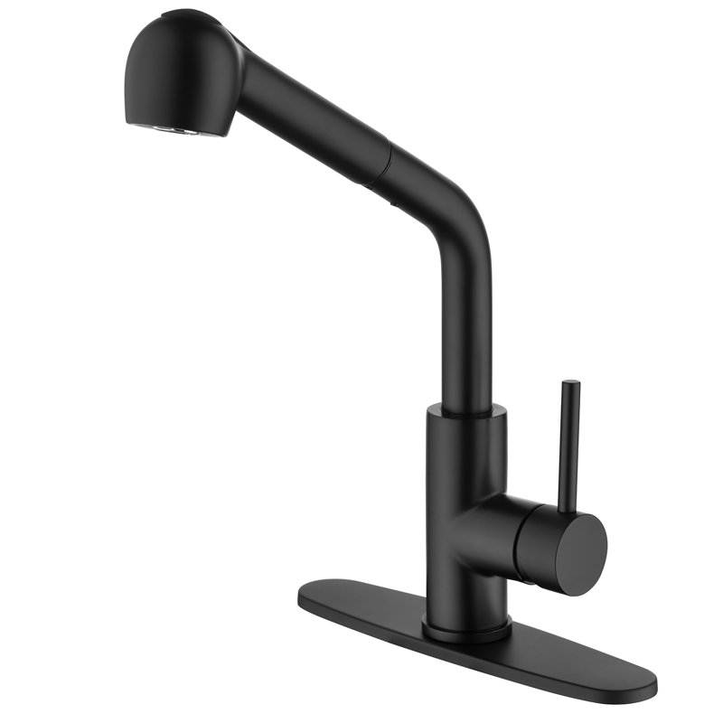 Fapully Pull Out Kitchen Faucet, Matte Bkack