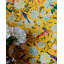 Chinese Garden Floral Wallpaper Roll-62105099