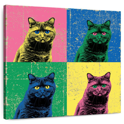 Arney British Shorthair Pop