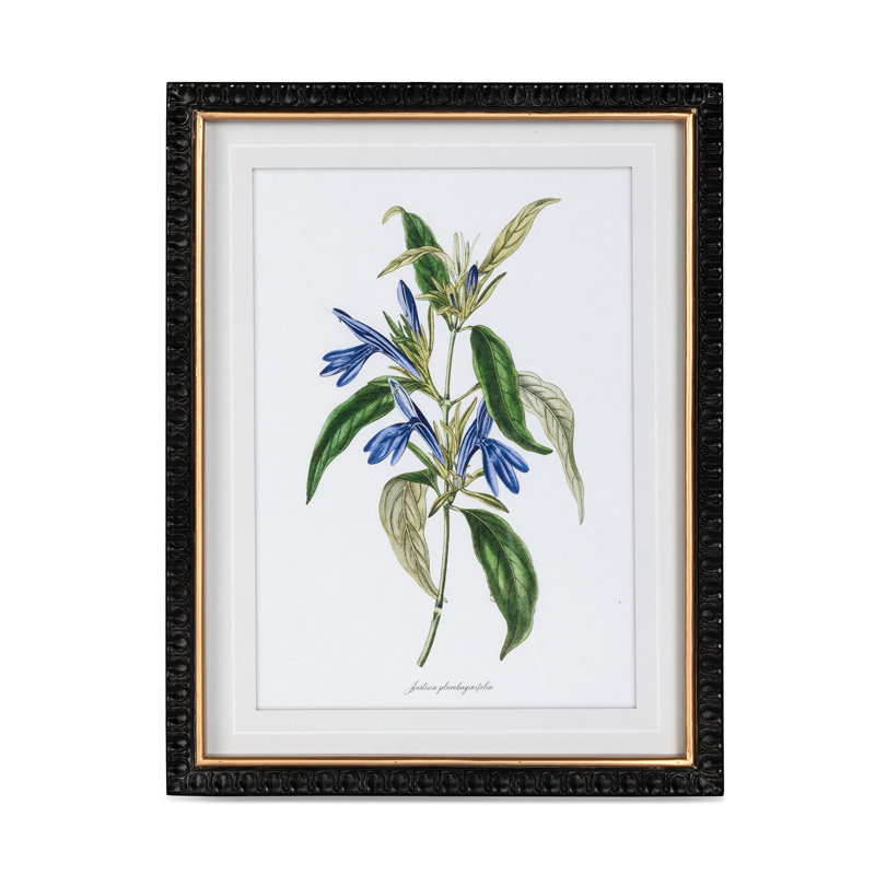 Summer Flower Framed Prints