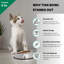 Bol simple pour animaux Easy Back-13945731