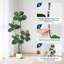 Floor Vase - Set of