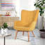 Drucker 68cm Wide Tufted Wingback Chair-870599948