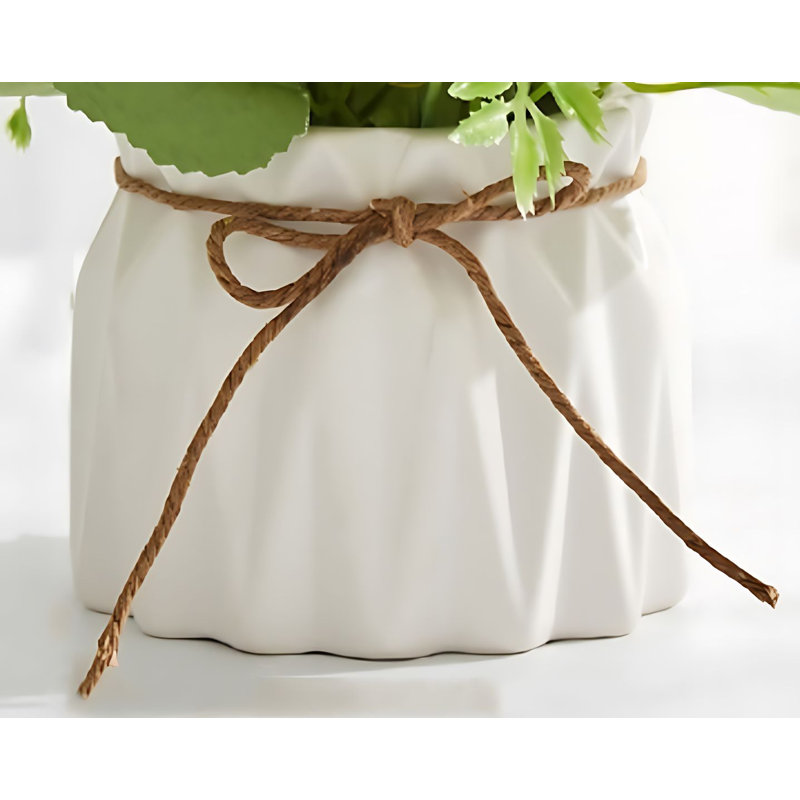 Ensemble d'assortiments mixtes en pot