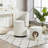 19" Upholstered Vanity Stool with Swivel