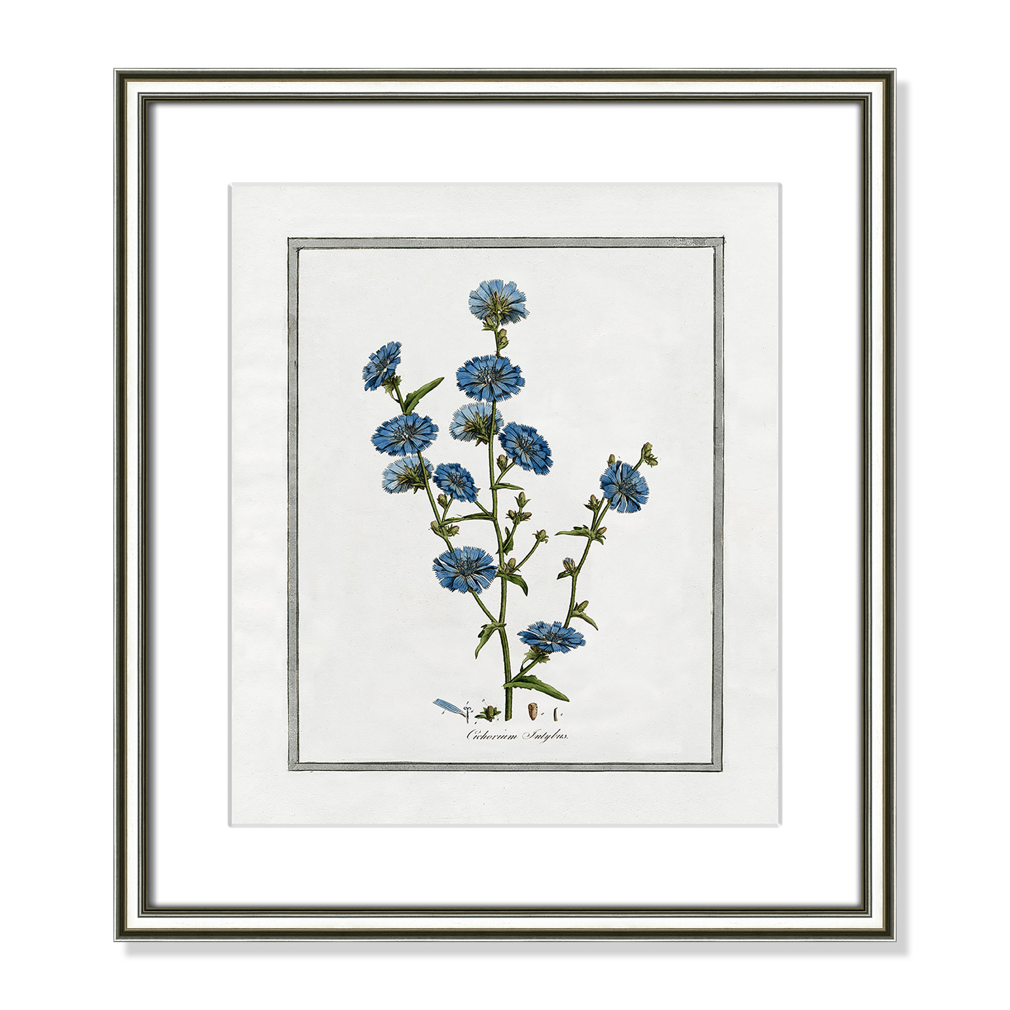 Soft Botanical I - Framed Art Full Bleed, Silver Framed, 14.25" W x 16.25" H