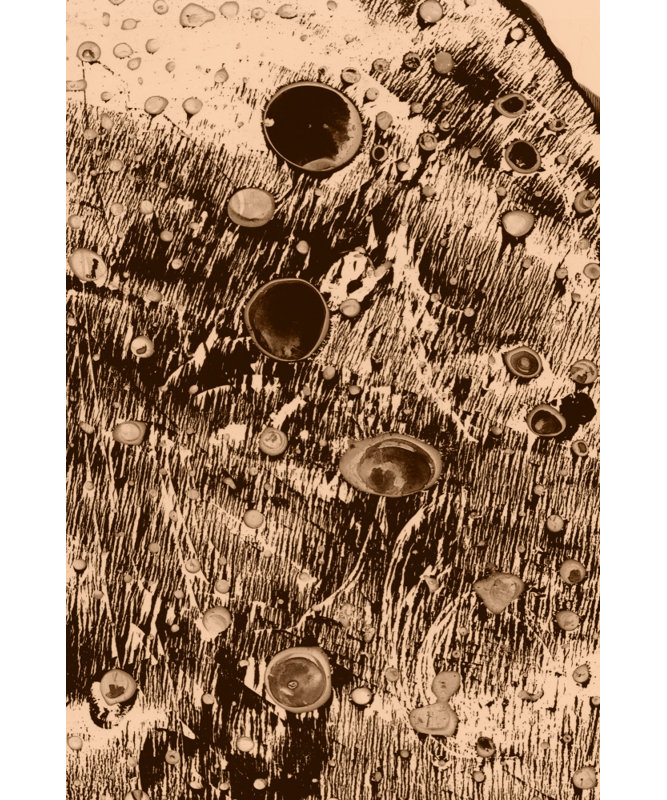 Wrapped Canvas Print, 91.44 cm H x 60.96 cm W