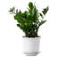 Berry & Thread Planter-58915834-58648836