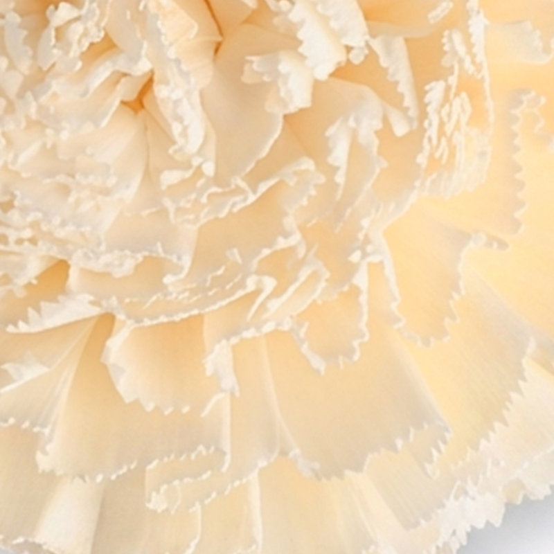 Shola Marigold