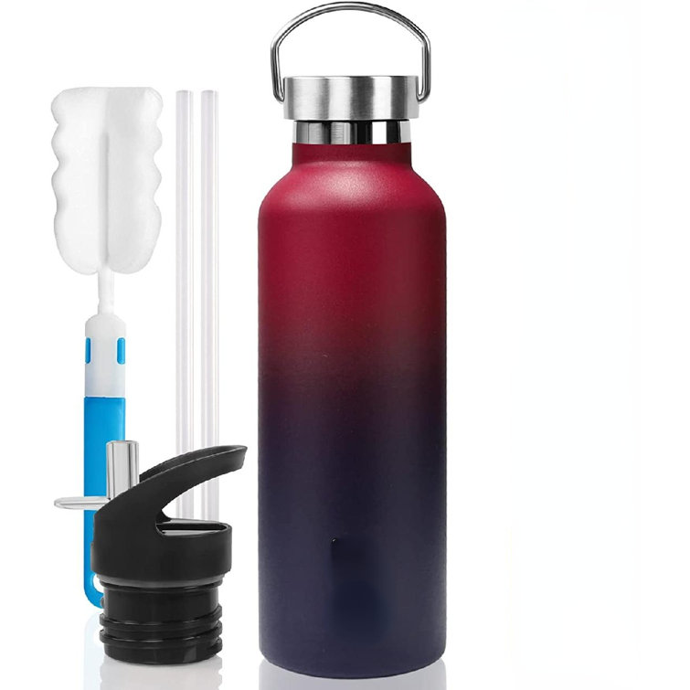 https://assets.wfcdn.com/im/36000157/resize-h755-w755%5Ecompr-r85/2175/217551618/Orchids+Aquae+20oz.+Insulated+Stainless+Steel+Water+Bottle.jpg