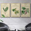 Linnaean Botany IV, ensemble de 3 toiles encadrées sur toile-97812274-97812267