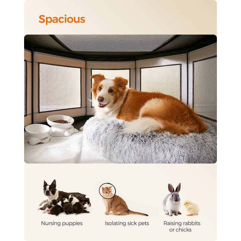 Portable Cat Playpen