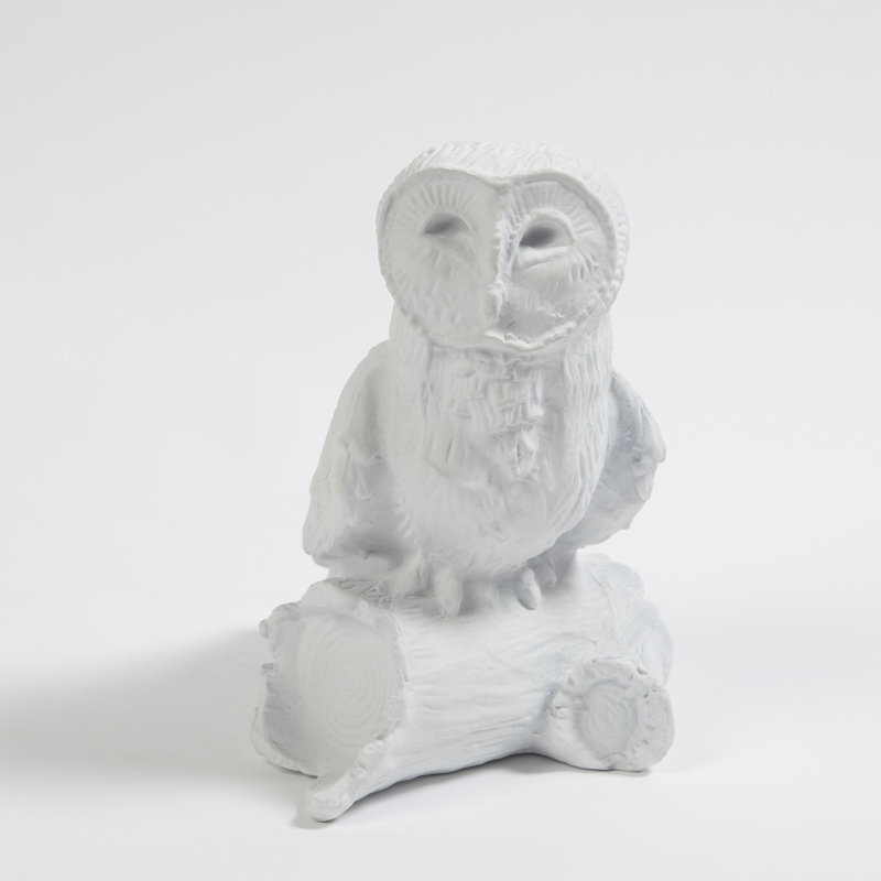 Owl On Branch