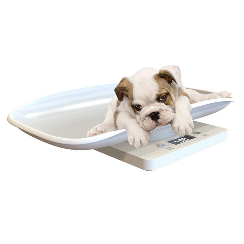 22lbs Digital Animal Scale