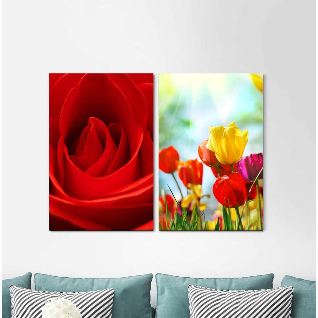 2-tlg. Leinwandbilder-Set - Fotografie „Rose Tulips Flowers Colourful Summer Sunshine”