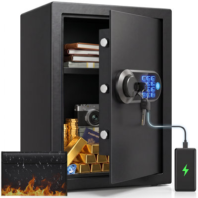Safe Box Biometric and Electronic